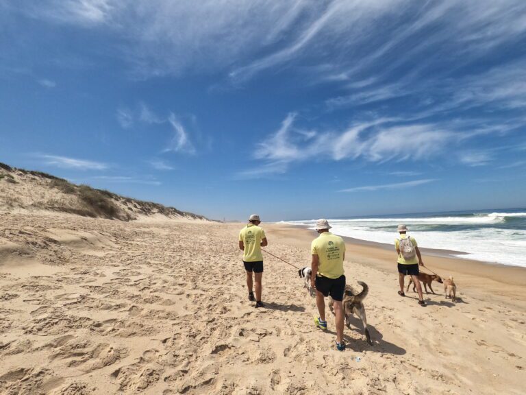 Dog Trekking
